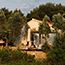 House from outside
