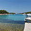 Bay Zdrilca
